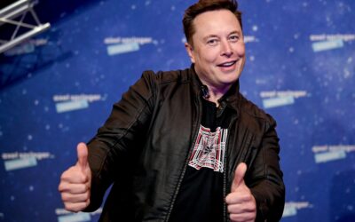 Elon Musk’s Immunology publication, a synopsis